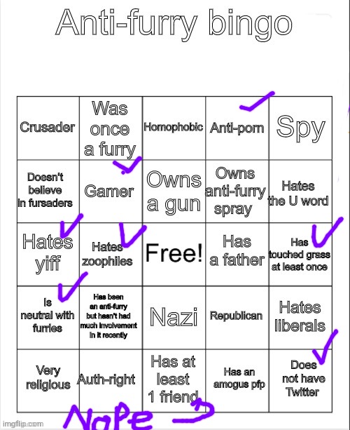 I was bored | image tagged in anti-furry bingo | made w/ Imgflip meme maker