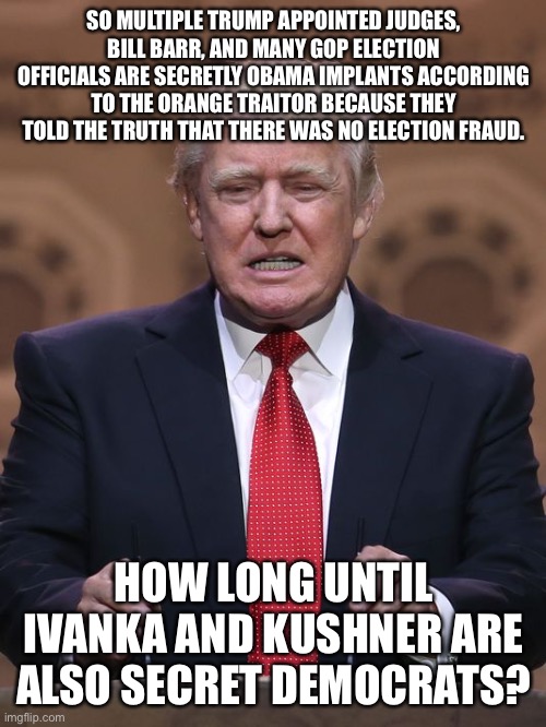 Donald Trump | SO MULTIPLE TRUMP APPOINTED JUDGES, BILL BARR, AND MANY GOP ELECTION OFFICIALS ARE SECRETLY OBAMA IMPLANTS ACCORDING TO THE ORANGE TRAITOR BECAUSE THEY TOLD THE TRUTH THAT THERE WAS NO ELECTION FRAUD. HOW LONG UNTIL IVANKA AND KUSHNER ARE ALSO SECRET DEMOCRATS? | image tagged in donald trump | made w/ Imgflip meme maker