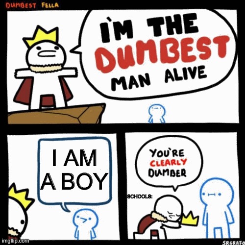 I'm the dumbest man alive | I AM A BOY; SCHOOLS: | image tagged in i'm the dumbest man alive | made w/ Imgflip meme maker