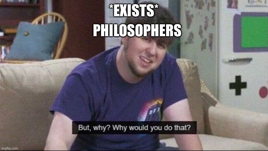 But why why would you do that? | PHILOSOPHERS; *EXISTS* | image tagged in but why why would you do that | made w/ Imgflip meme maker