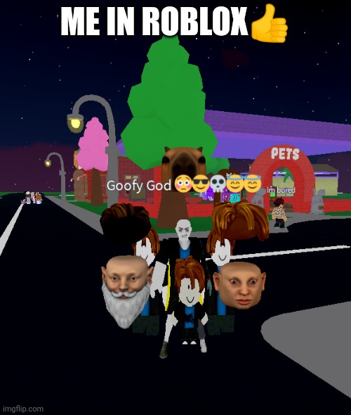 ME IN ROBLOX👍 | made w/ Imgflip meme maker