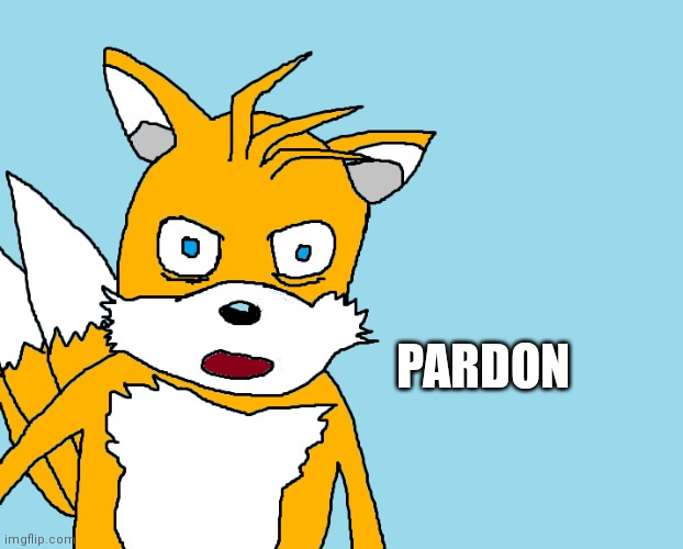 Idk just if anyone wants to use it | PARDON | image tagged in tails gets trolled template original meme | made w/ Imgflip meme maker