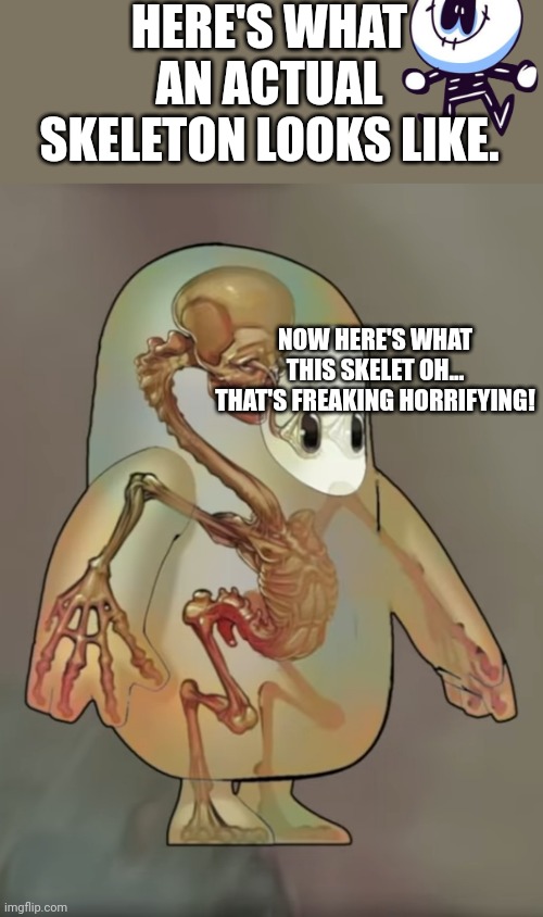Finally a new Fall Guys meme thank god! |  HERE'S WHAT AN ACTUAL SKELETON LOOKS LIKE. NOW HERE'S WHAT THIS SKELET OH... THAT'S FREAKING HORRIFYING! | image tagged in fall guys skeleton | made w/ Imgflip meme maker
