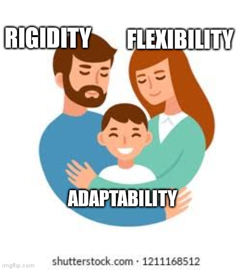 RIGIDITY; FLEXIBILITY; ADAPTABILITY | made w/ Imgflip meme maker