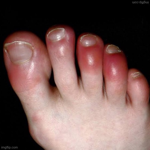 Don’t say it | made w/ Imgflip meme maker