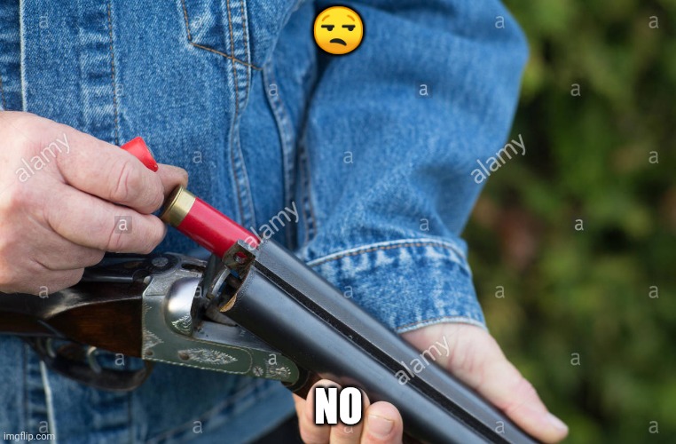 Man loading Shotgun | ? NO | image tagged in man loading shotgun | made w/ Imgflip meme maker