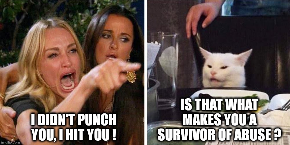 Smudge the cat | IS THAT WHAT MAKES YOU A SURVIVOR OF ABUSE ? I DIDN'T PUNCH YOU, I HIT YOU ! | image tagged in smudge the cat | made w/ Imgflip meme maker