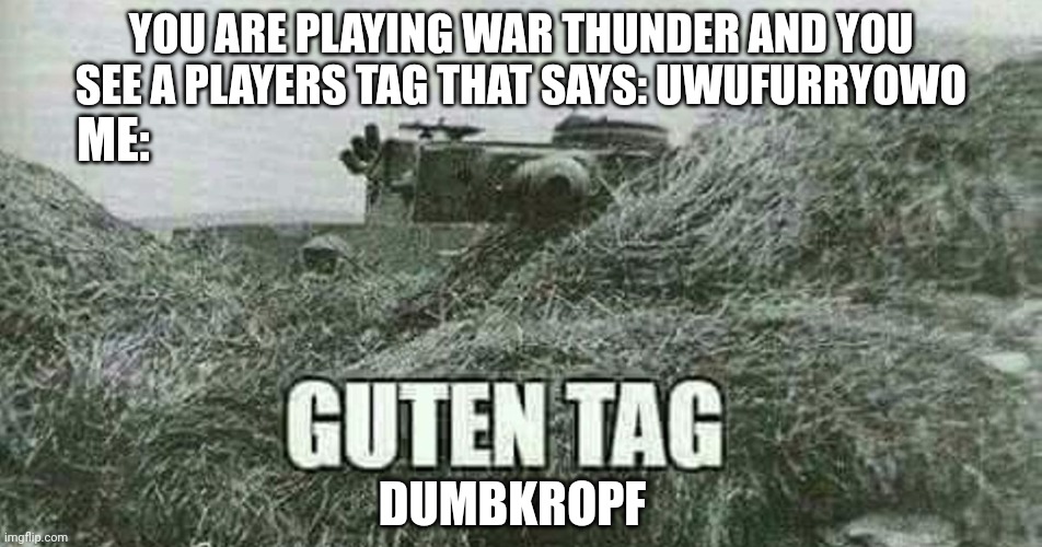 German guten tag tiger | YOU ARE PLAYING WAR THUNDER AND YOU SEE A PLAYERS TAG THAT SAYS: UWUFURRYOWO; ME:; DUMBKROPF | image tagged in german guten tag tiger | made w/ Imgflip meme maker