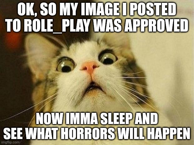 Scared Cat Meme | OK, SO MY IMAGE I POSTED TO ROLE_PLAY WAS APPROVED; NOW IMMA SLEEP AND SEE WHAT HORRORS WILL HAPPEN | image tagged in memes,scared cat | made w/ Imgflip meme maker