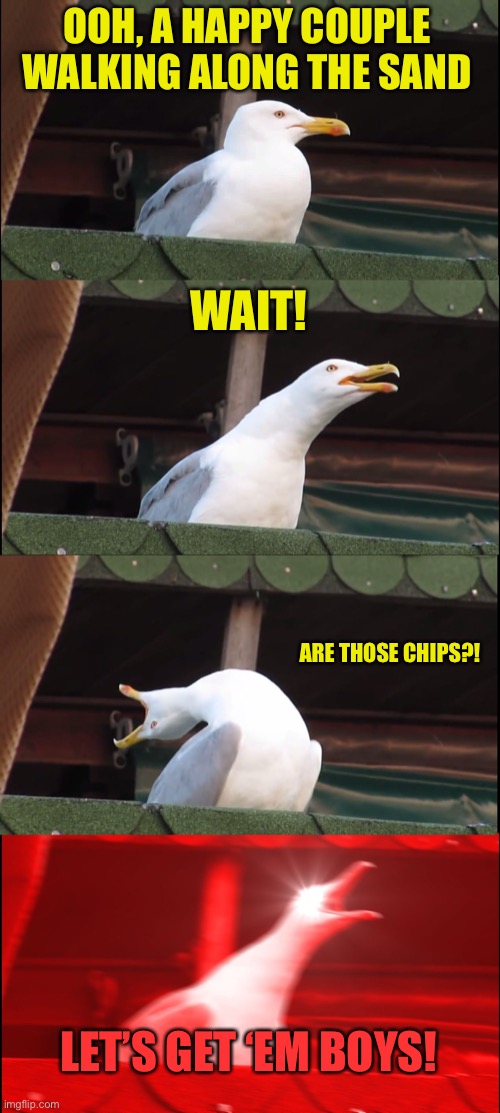 Are those chips? | OOH, A HAPPY COUPLE WALKING ALONG THE SAND; WAIT! ARE THOSE CHIPS?! LET’S GET ‘EM BOYS! | image tagged in memes,inhaling seagull | made w/ Imgflip meme maker