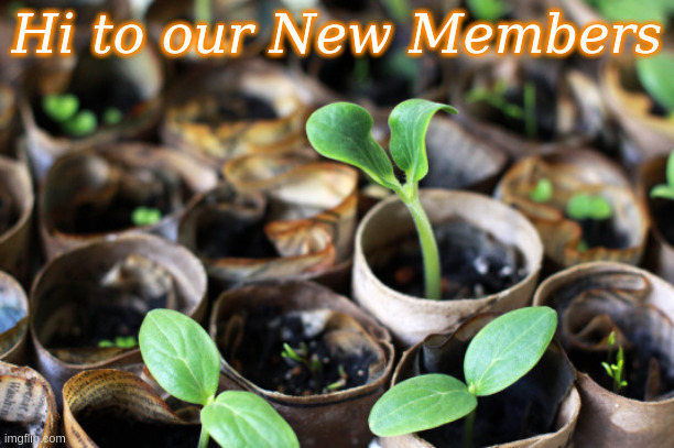 Hi to our New Members | Hi to our New Members | image tagged in seedling | made w/ Imgflip meme maker