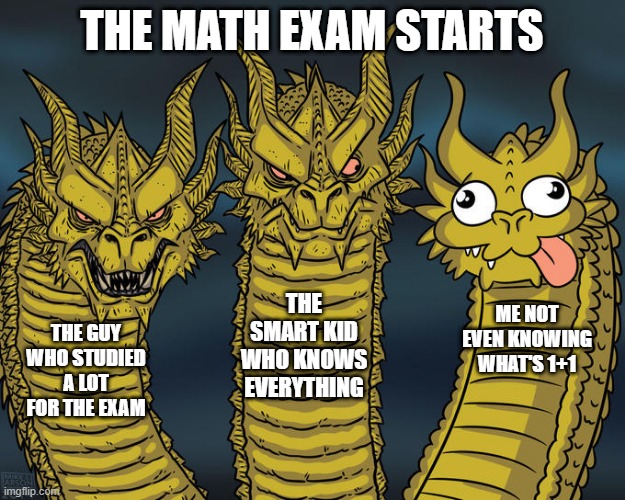 Three-headed Dragon | THE MATH EXAM STARTS; THE SMART KID WHO KNOWS EVERYTHING; ME NOT EVEN KNOWING WHAT'S 1+1; THE GUY WHO STUDIED A LOT FOR THE EXAM | image tagged in three-headed dragon | made w/ Imgflip meme maker