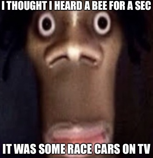 Had a heart attack [skull] | I THOUGHT I HEARD A BEE FOR A SEC; IT WAS SOME RACE CARS ON TV | image tagged in quandale dingle | made w/ Imgflip meme maker