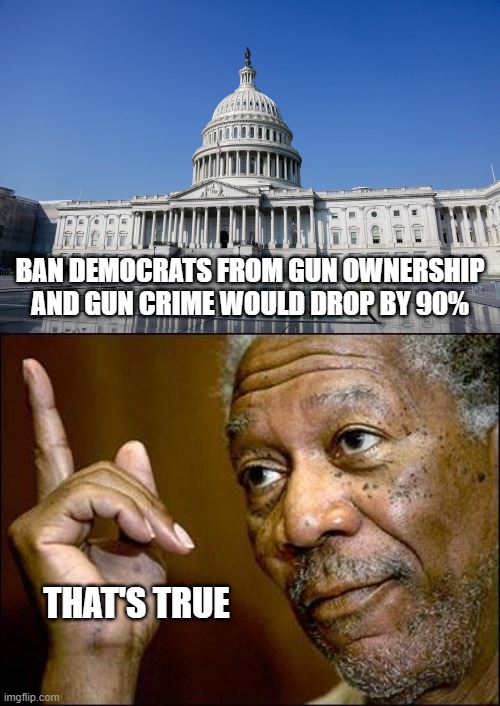 BAN DEMOCRATS FROM GUN OWNERSHIP AND GUN CRIME WOULD DROP BY 90%; THAT'S TRUE | image tagged in this morgan freeman | made w/ Imgflip meme maker