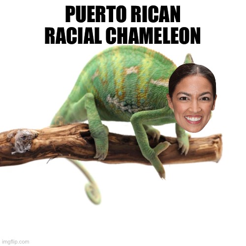 Puerto Rican Racial Chameleon | PUERTO RICAN
RACIAL CHAMELEON | image tagged in memes,aoc,racist,chameleon,puerto rico,liberal logic | made w/ Imgflip meme maker