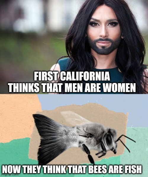 Now California is pro-trans species | FIRST CALIFORNIA THINKS THAT MEN ARE WOMEN; NOW THEY THINK THAT BEES ARE FISH | image tagged in transgender,liberal logic,stupid liberals,bees,humor,california | made w/ Imgflip meme maker