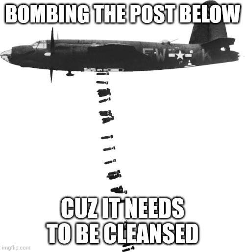 Bomber dropping bombs on post below | BOMBING THE POST BELOW; CUZ IT NEEDS TO BE CLEANSED | image tagged in bomber dropping bombs on post below | made w/ Imgflip meme maker