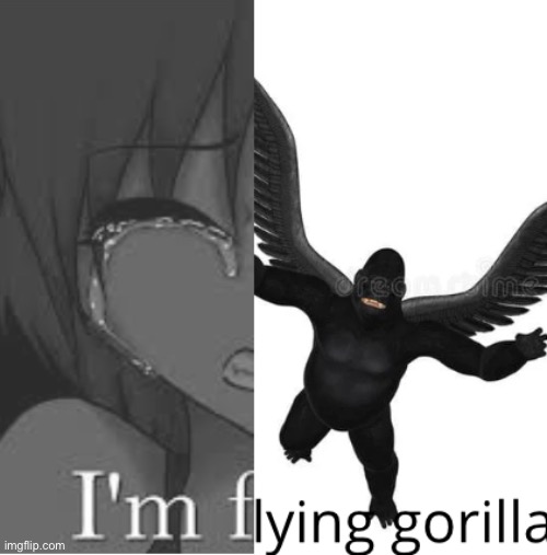 image tagged in flying gorilla,im fine | made w/ Imgflip meme maker