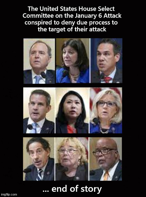 Dems denying due process | image tagged in jan 6 hearing | made w/ Imgflip meme maker