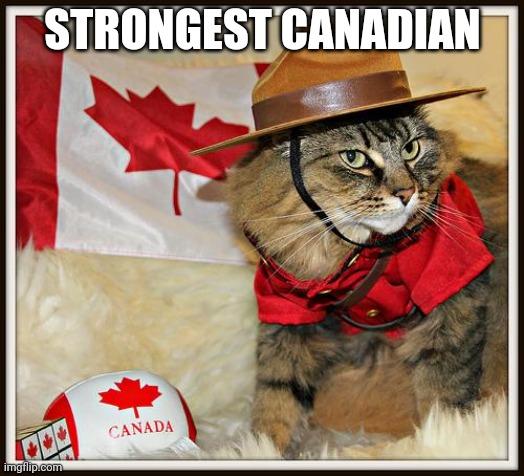 Canada Cat | STRONGEST CANADIAN | image tagged in canada cat | made w/ Imgflip meme maker