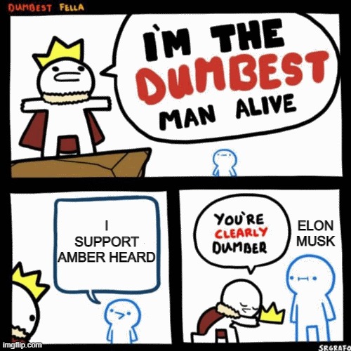 I'm the dumbest man alive | I SUPPORT AMBER HEARD; ELON MUSK | image tagged in i'm the dumbest man alive | made w/ Imgflip meme maker