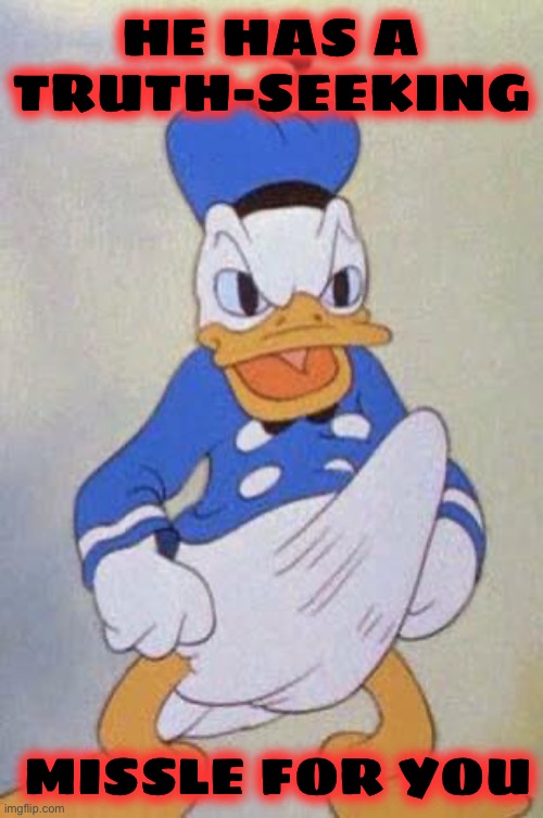 Horny Donald Duck | HE HAS A TRUTH-SEEKING MISSLE FOR YOU | image tagged in horny donald duck | made w/ Imgflip meme maker