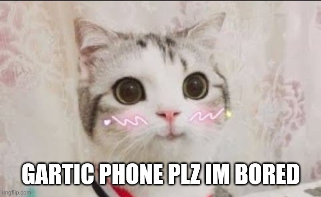 cute cat uwu | GARTIC PHONE PLZ IM BORED | image tagged in cute cat uwu | made w/ Imgflip meme maker