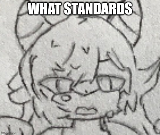 WHAT STANDARDS | made w/ Imgflip meme maker