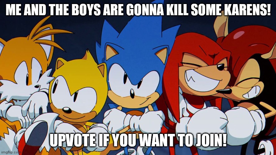 Do you wanna join? | ME AND THE BOYS ARE GONNA KILL SOME KARENS! UPVOTE IF YOU WANT TO JOIN! | image tagged in me and the boys sonic mania edition,karens,manager,kill,lets go | made w/ Imgflip meme maker