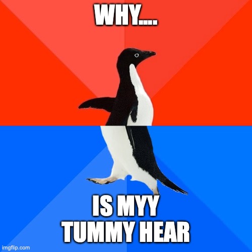 Socially Awesome Awkward Penguin | IS MYY TUMMY HEAR; WHY.... | image tagged in memes,socially awesome awkward penguin | made w/ Imgflip meme maker