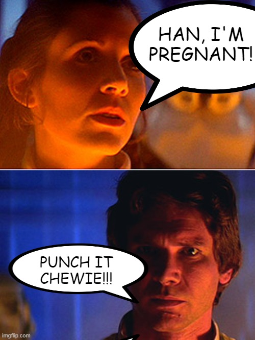 Damn Han, You Dark! | HAN, I'M PREGNANT! PUNCH IT CHEWIE!!! | image tagged in leia i love you han i know | made w/ Imgflip meme maker