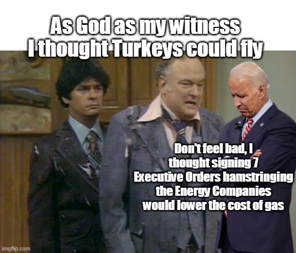 "PUTINFLATION" LMDO ! | As God as my witness
I thought Turkeys could fly; Don't feel bad, I thought signing 7 Executive Orders hamstringing the Energy Companies would lower the cost of gas | image tagged in memes,biden,idiot,moron | made w/ Imgflip meme maker