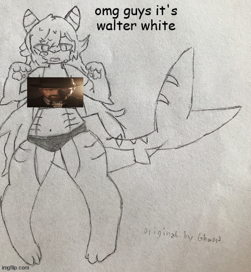 waltin | omg guys it's walter white | image tagged in bad template | made w/ Imgflip meme maker