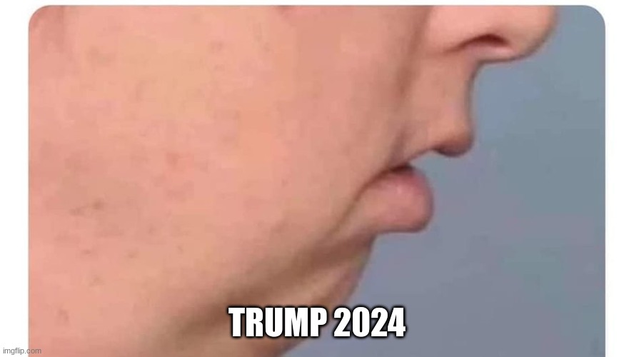 loser | TRUMP 2024 | image tagged in donald trump approves | made w/ Imgflip meme maker