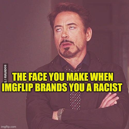 No View Counts For You | THE FACE YOU MAKE WHEN IMGFLIP BRANDS YOU A RACIST | image tagged in the face you make when,censorship,fake people,communists,evilmandoevil,liberal media | made w/ Imgflip meme maker