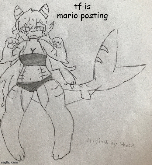 tf :camera: | tf is mario posting | image tagged in bad template | made w/ Imgflip meme maker
