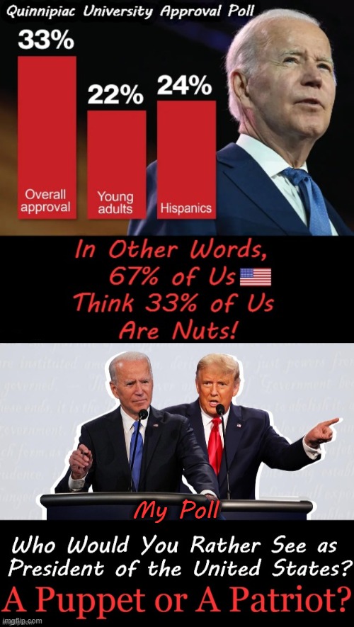 The Choice = Success or Failure. Uh, Let Me Think... | My Poll | image tagged in politics,joe biden,donald trump,approval poll,puppet or patriot,peace through strength | made w/ Imgflip meme maker