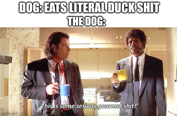 Actually had this happen today |  DOG: EATS LITERAL DUCK SHIT; THE DOG: | image tagged in this is some serious gourmet shit | made w/ Imgflip meme maker