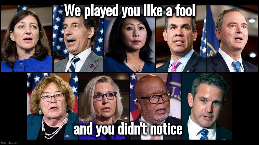 Jan 6 House Select Committee | We played you like a fool and you didn't notice | image tagged in jan 6 house select committee | made w/ Imgflip meme maker