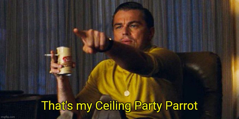 Leo pointing | That's my Ceiling Party Parrot | image tagged in leo pointing | made w/ Imgflip meme maker