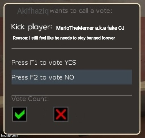 vote ban/vote kick | Akifhaziq; MarioTheMemer a.k.a fake CJ; Reason: I still feel like he needs to stay banned forever | image tagged in vote ban/vote kick | made w/ Imgflip meme maker