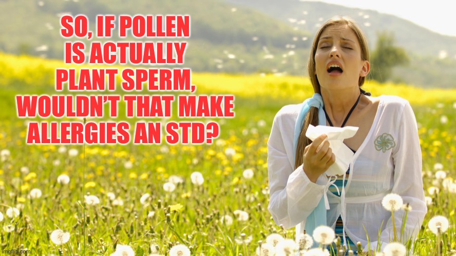 Allergies | SO, IF POLLEN IS ACTUALLY PLANT SPERM, WOULDN’T THAT MAKE ALLERGIES AN STD? | image tagged in pollen | made w/ Imgflip meme maker