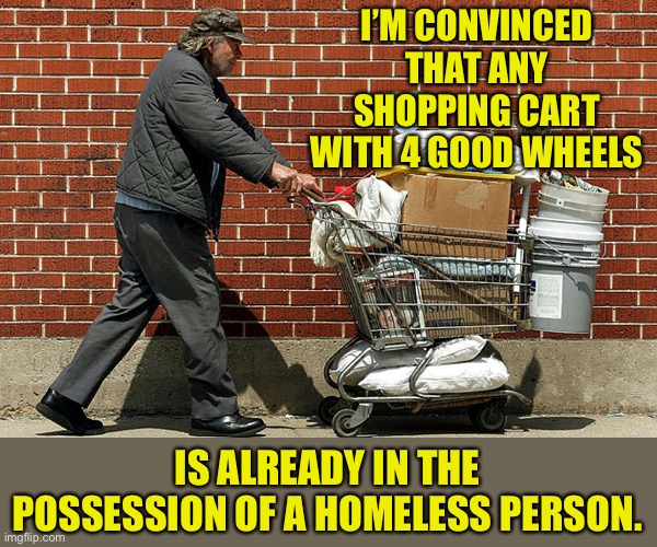 Can’t find a good shopping cart in any store | I’M CONVINCED THAT ANY SHOPPING CART WITH 4 GOOD WHEELS; IS ALREADY IN THE POSSESSION OF A HOMELESS PERSON. | made w/ Imgflip meme maker