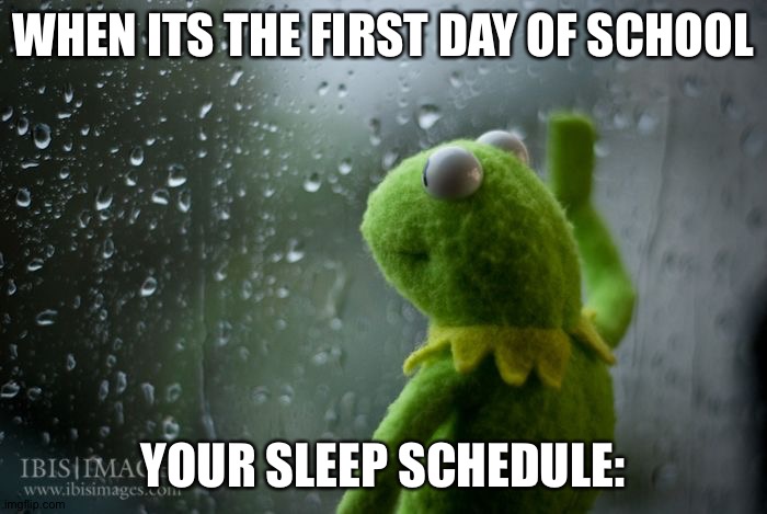 rip sleep | WHEN ITS THE FIRST DAY OF SCHOOL; YOUR SLEEP SCHEDULE: | image tagged in kermit window,rip,sleep | made w/ Imgflip meme maker