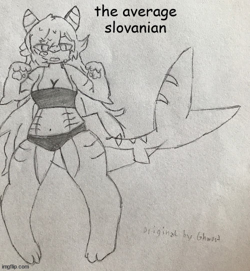 nvm | the average slovanian | image tagged in bad template | made w/ Imgflip meme maker