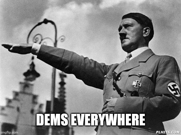 hitler | DEMS EVERYWHERE | image tagged in hitler | made w/ Imgflip meme maker