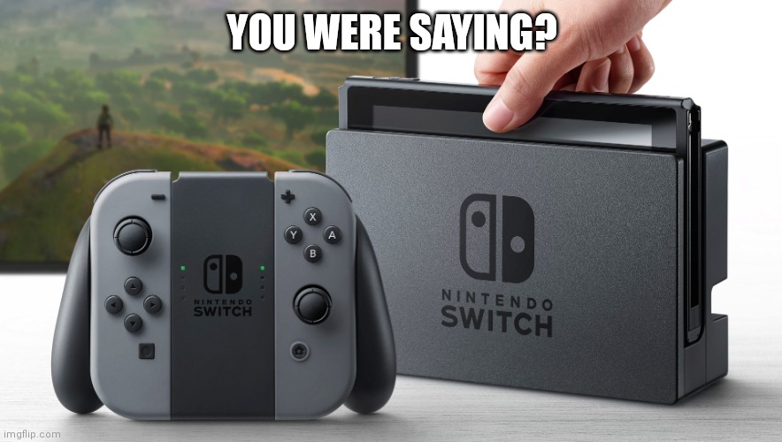 Nintendo Switch | YOU WERE SAYING? | image tagged in nintendo switch | made w/ Imgflip meme maker