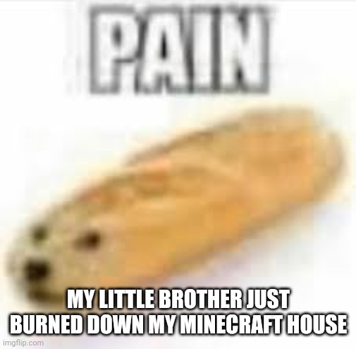 PAIN | MY LITTLE BROTHER JUST BURNED DOWN MY MINECRAFT HOUSE | image tagged in pain | made w/ Imgflip meme maker