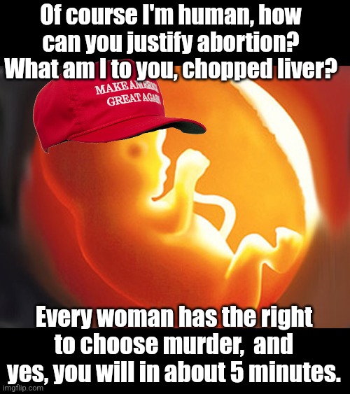 It's not safe, not rare and not right. Is it any wonder a lover of killing babies wanted to kill a Supreme Court Justice? | Of course I'm human, how can you justify abortion? What am I to you, chopped liver? Every woman has the right to choose murder,  and yes, you will in about 5 minutes. | image tagged in unborn child | made w/ Imgflip meme maker