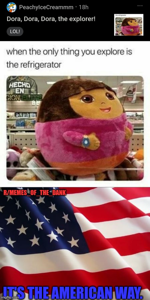 PeachyIceCreammm, "Dora, Dora, Dora, The explorer!", r/Memes_Of_The_Dank. | R/MEMES_OF_THE_DANK; IT'S THE AMERICAN WAY. | image tagged in american flag | made w/ Imgflip meme maker